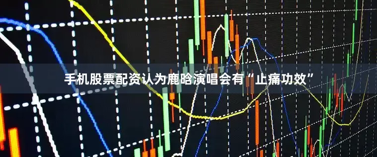 手机股票配资认为鹿晗演唱会有“止痛功效”